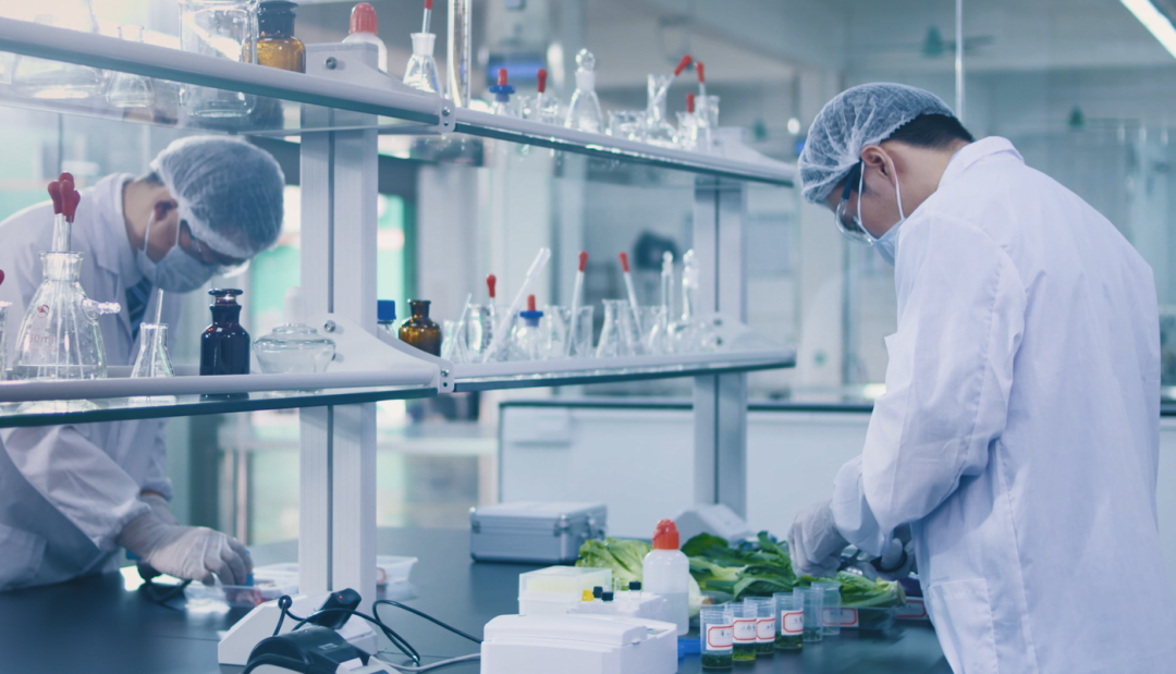 康來福廣州配送蔬菜中心檢測