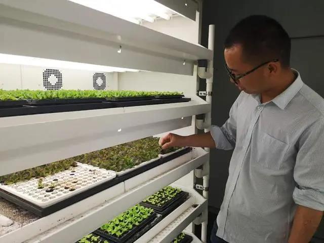 國產無人蔬菜種植設備