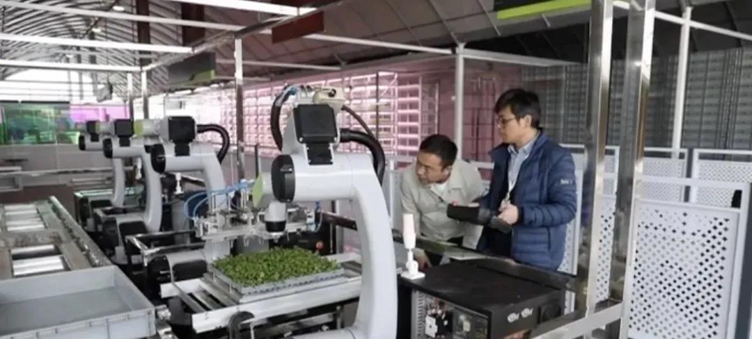 上海無人蔬菜種植基地