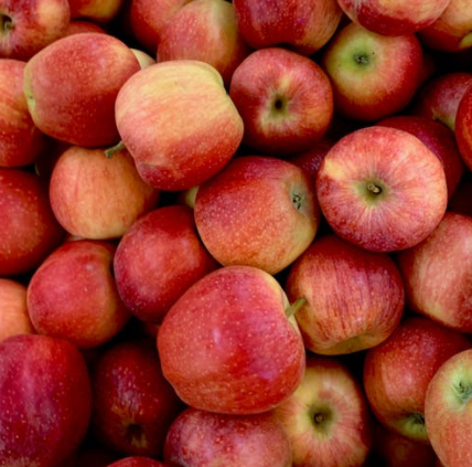 生鮮食材蘋(píng)果