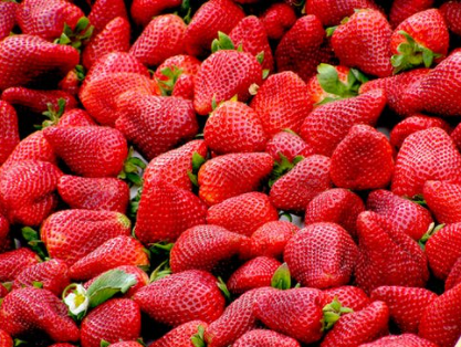 生鮮食材草莓