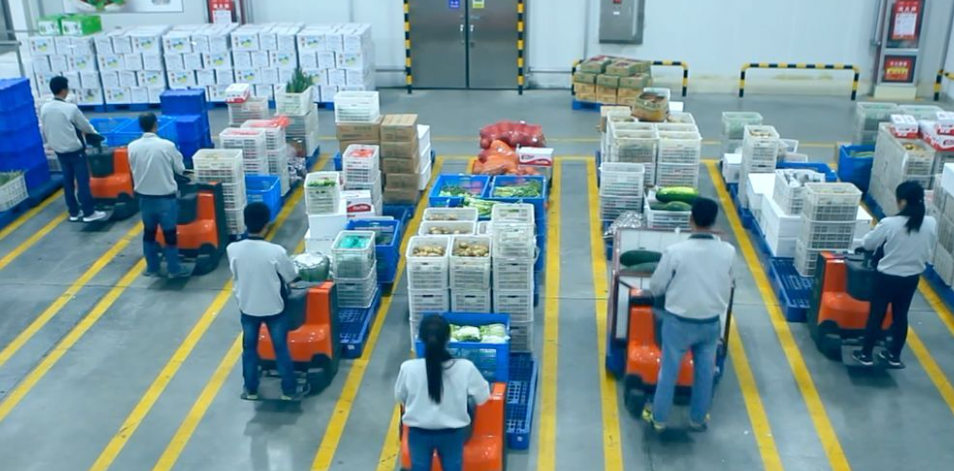 蔬菜配送機(jī)械分揀