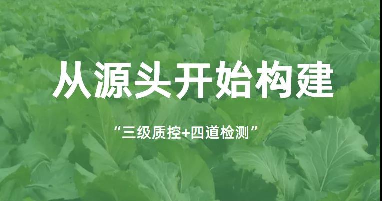 康來福源頭構建