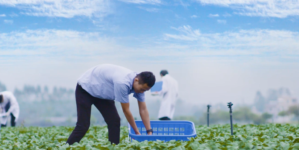 康來福種植基地