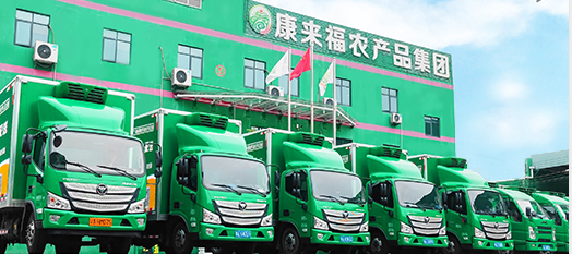 康來(lái)福集團(tuán)