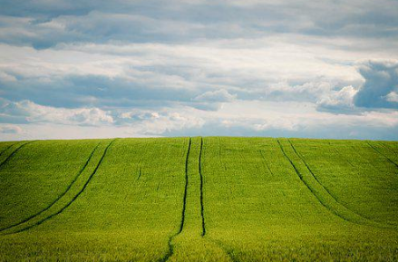 農業生產種植基地