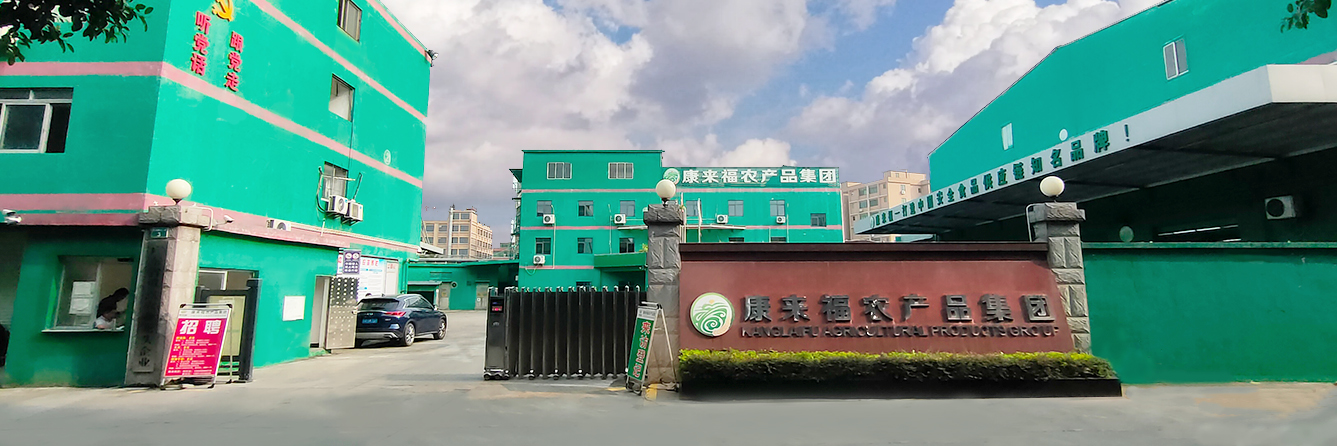 康來福農產品集團全景圖
