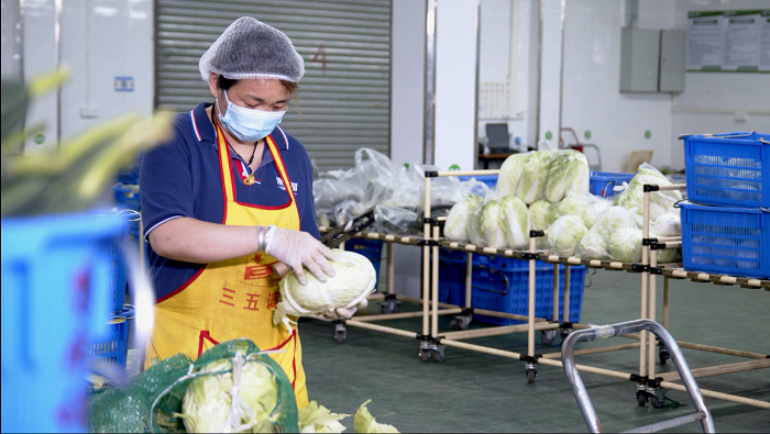康來福食材價格