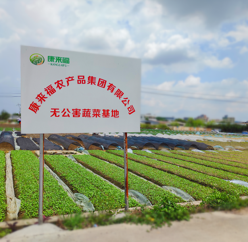 康來福蔬菜基地