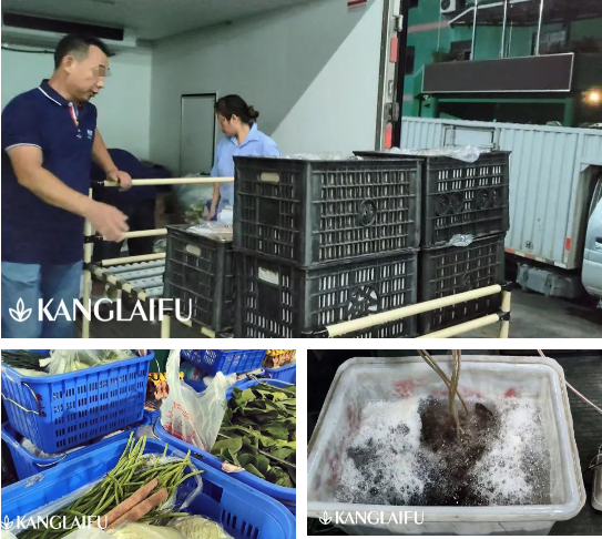 用心守護運輸質量，康來福以生鮮品質為先，踐行品質之道