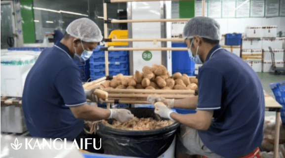 食材粗加工 食材粗加工