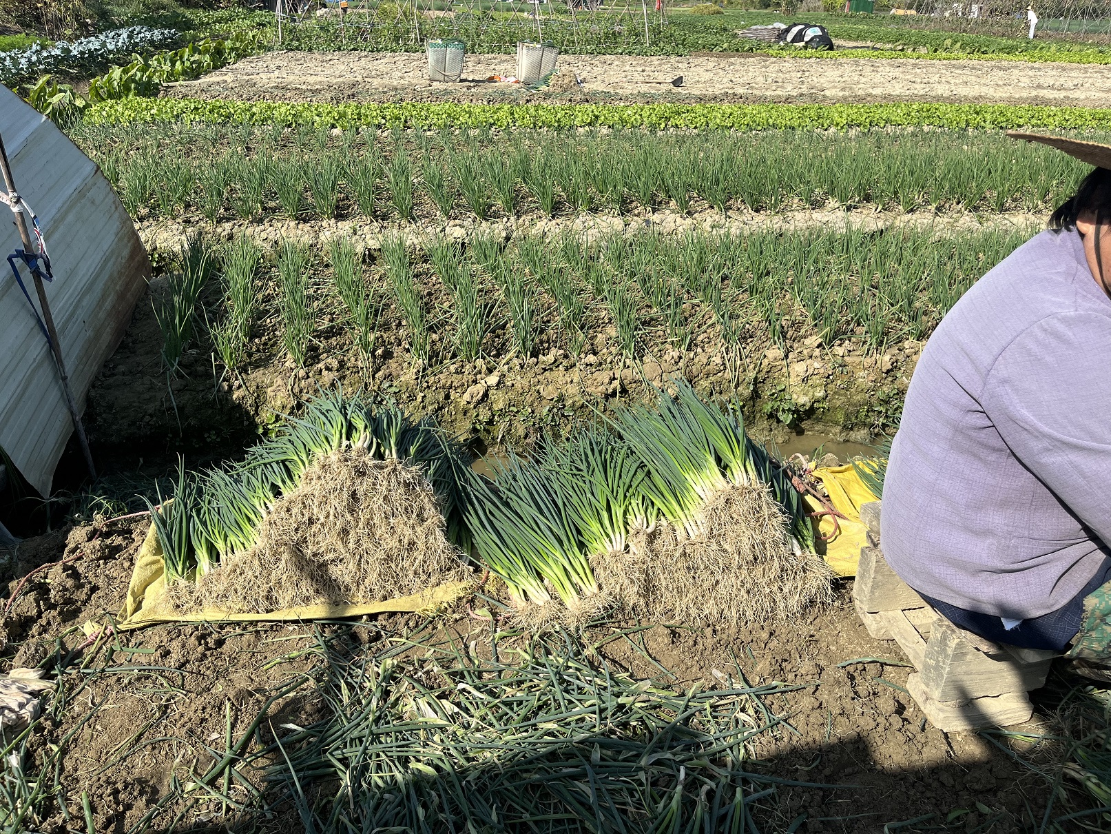 微信圖片_20231128114054 - 副本.jpg