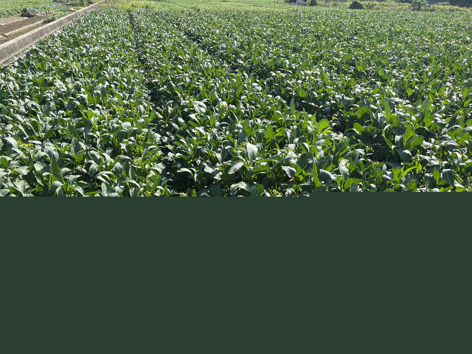 微信圖片_20231128114115 - 副本.jpg