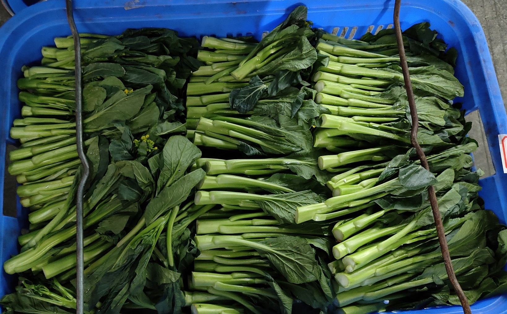 當前食材配送行業存在哪些痛點